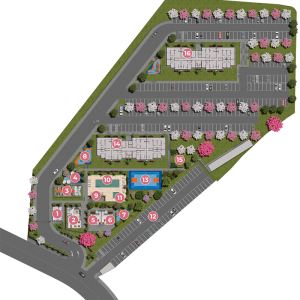 BOSQUEDASSAPUCAIAS_CAMPOLIMPO (167)